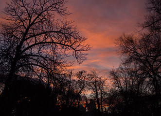 Atardecer en el parque de El Retiro