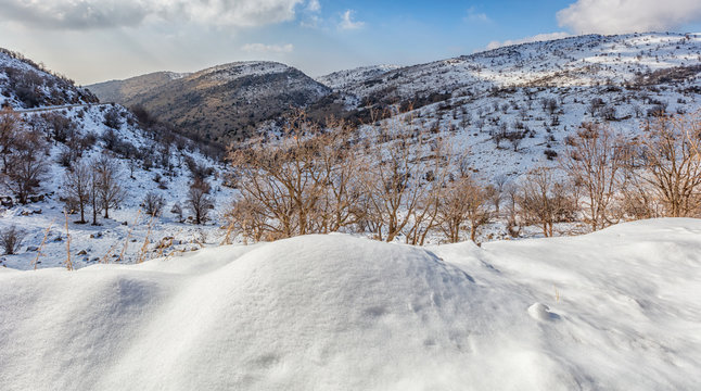 Winter on the Golan Heights, on the way to Mount Hermon