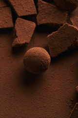 close up view of sweet truffle and chocolate in cocoa powder