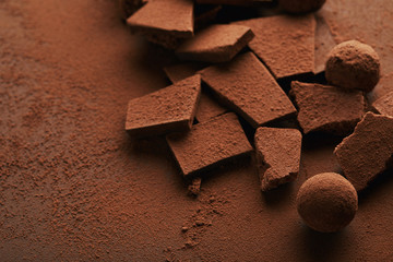 close up view of truffles and chocolate bars in cocoa powder