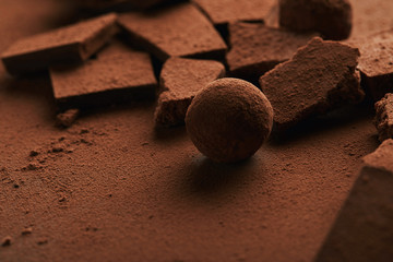 close up view of sweet truffle and chocolate in cocoa powder