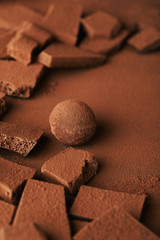 close up view of sweet truffle and chocolate in cocoa powder