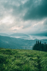 На рассвете в горах