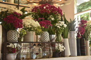 Fototapeta premium Flowers