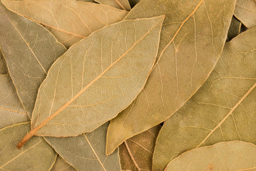 Leaves of dried bay leaves