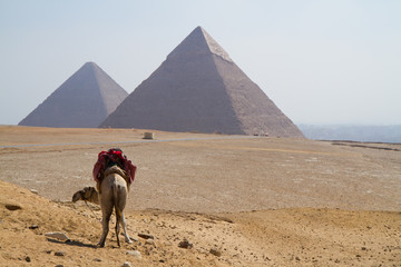 egypt pyramids in cairo