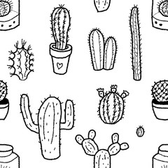 Cactus succulent background