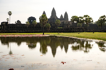 beautiful reflection of the temple of angkor wat