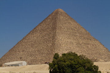 Fototapeta na wymiar egypt pyramids in cairo