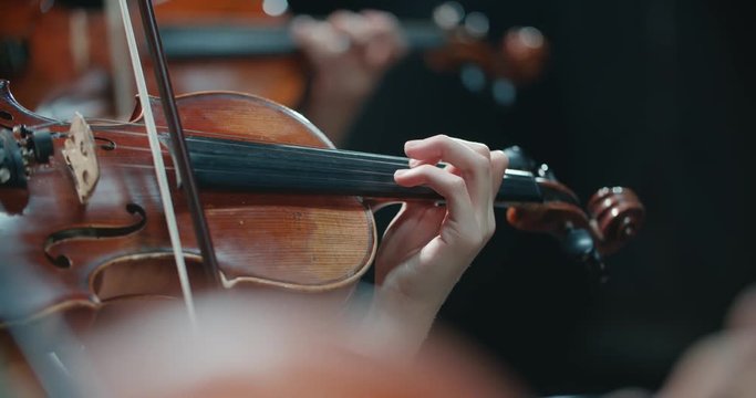 symphony orchestra performance, stringed instruments detail shot
