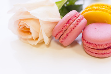 St. Valentine's Day concept with a beautiful white rose and fruit macaroons, close up, white background