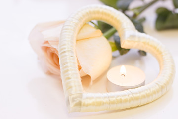 Fototapeta na wymiar St. Valentine's Day concept with a beautiful cream rose and burning candle, close up, white background