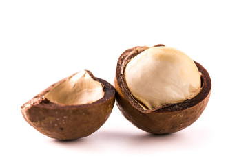 macadamia nuts on white background
