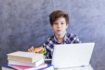Teenage boy eats a sandwich and web-surfing © BGStock72