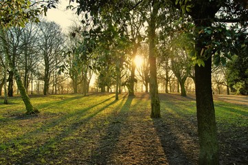 An image of a sunny Winter landscape.