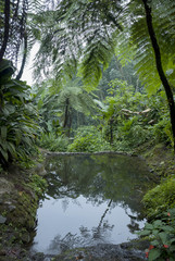 River and freshwater lagoon in Retalhulehu, forest reserve and wildlife in Guatemala