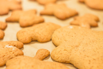 Ginger biscuits lie on a baking sheet. Cookies on baking paper. Selective focus.
