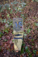 Wood signpost number 15
