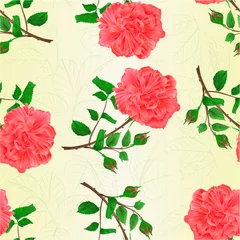 Fotobehang Seamless texture rose and buds pink twig with leaves on a white background vintage vector illustration editable hand draw © zdenat5