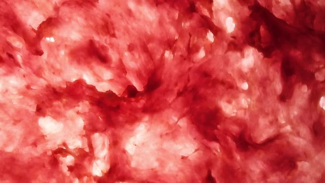 Amazing top view of purple rabbit farce meat close up, rotating clockwise with side center. Vibrant natural texture with excellent details and back light in 4k, 3840x2160, clip. Eco product for health