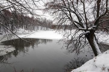 Fototapeta na wymiar Winter landscape with river.Cold weather.Snow covered trees.Cloudy day.