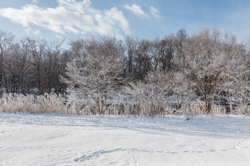 path covered with snow  in sunny day near the frozen river in Hokkaido, Japan