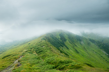 Landscape with green mountains in the clouds