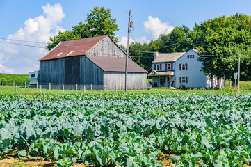 Fototapeta na wymiar Farm buildings in Amish Pennsylvania, USA