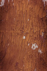 Cracked old orange paint on the texture wall.