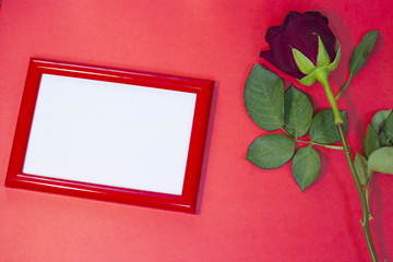 The concept of St.Valentine's Day red background with a beautiful red rose and a red photo frame, top view, copy space