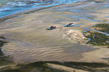 Vue aérienne des cabanes tchanquées sur l'île aux oiseaux dans le Bassin d'Arcachon en France