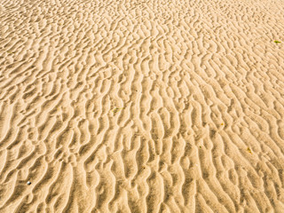 surface of yellow sand beach Le Touquet