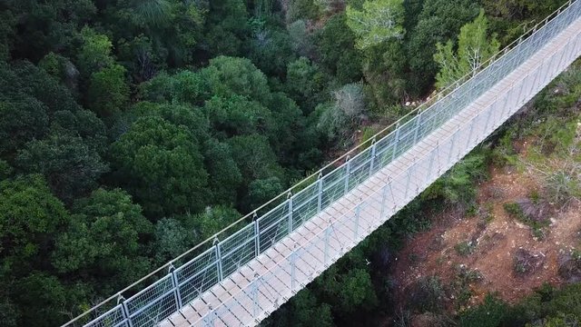 Suspension bridge surrounded by lush green forest - Top down aerial view