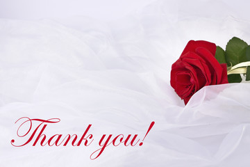 Thank you card with beautyful red rose on the white silk background