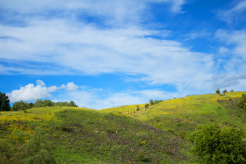 Fototapeta premium Beautiful landscape of bright blue sky and beautiful meadow