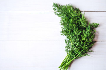 Dill and fennel on a white  wooden background. Fresh herb. 