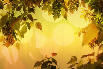 Naklejka premium Foliage Border Warm Background.