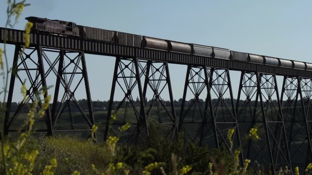 Freight train on trestle bridge
