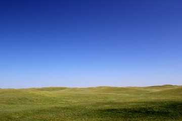 Prärie Hintergrund. Endlos blau und grün.