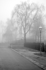 Black and white scene with road, lantern and trees in early morning fog in Berlin, Germany