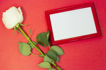 The concept of St.Valentine's Day with a beautiful white rose, and a red photo frame, top view, copy space