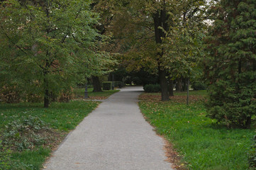 Fototapeta na wymiar Path in park and trees around it, autumn time