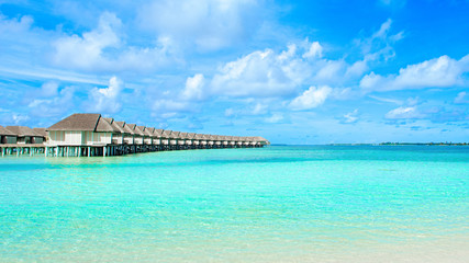 Beautiful tropical landscape