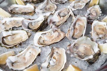 A bucket of ice filled with oysters.