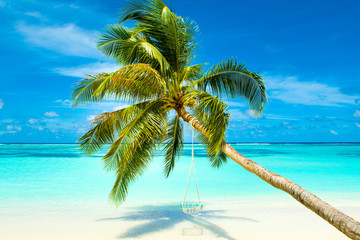 Fototapeta na wymiar Beautiful landscape of sandy beach, Maldives