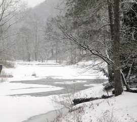 Winter Snow Creek