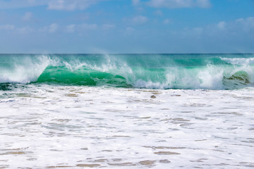 Vegetation growing on the edge of a sand dune with the Atlantic Ocean in the background