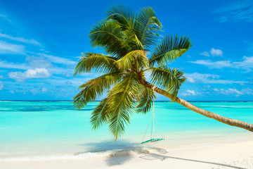 Obraz na płótnie Canvas Beautiful landscape of sandy beach, Maldives