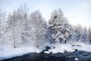 A fabulous winter day in the north of Karelia. Russia