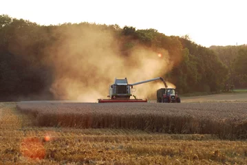 Ernte mit Mähdrescher und Traktor im Sommer © Kamzoom